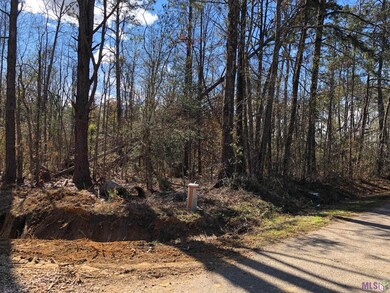 TBD Mcdaniel Rd, Amite, LA 70422 - photo 4