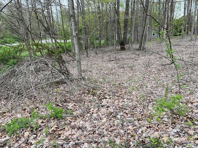 816 Royal Cir, Howard, OH 43028 - photo 3