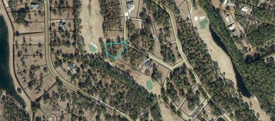 Lot 111 Mulligan Dr NE, Townsend, GA 31331 - photo 2