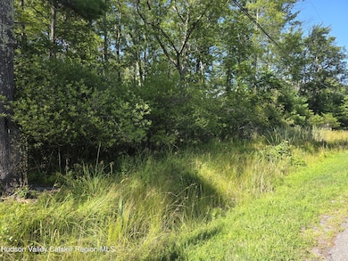 0 Stone Mountain Rd unit 20250692, Round Top, NY 12473 - photo 6