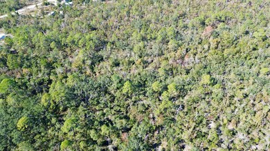 TBD Clearwater Creek Ln, Perry, FL 32348 - photo 4