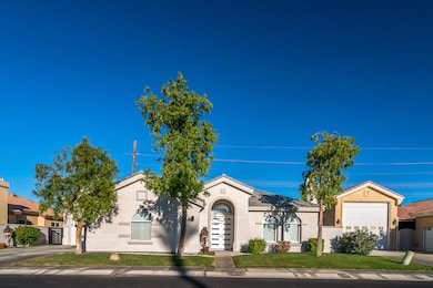 054_48806-barrymore_FNA1379-Edit_web