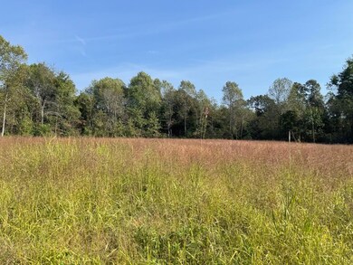 0000 Reynoldsburg Rd, Springville, TN 38256 - photo 7