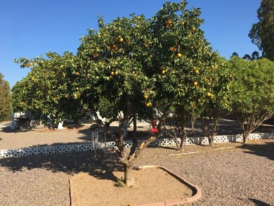 9952 W Audrey Dr, Sun City, AZ 85351 - photo 6