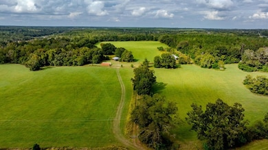 2141 Ebenezer Rd, Ellaville, GA 31806 - photo 2