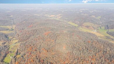 30870 Jug Run Rd, Frazeysburg, OH 43822 - photo 6