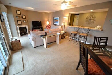 Gas Fire Place