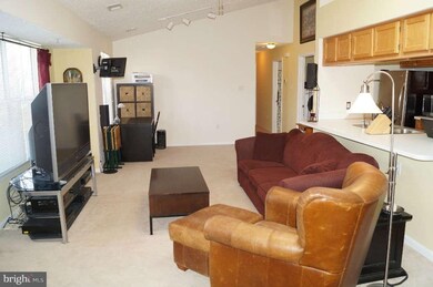 2802 Clear Shot Dr unit 9, Silver Spring, MD 20906 - photo 4