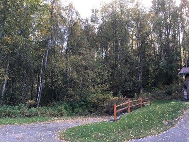 Large Private Lot