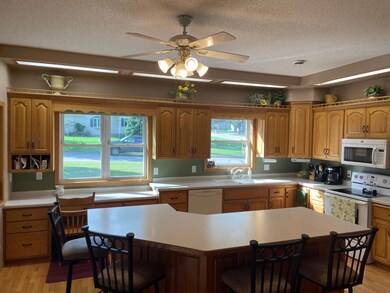 313 Alex Moore St, Sauk Centre, MN 56378 - photo 4