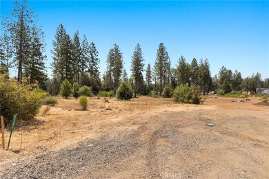 9262 Skyway, Paradise, CA 95969 - photo 5