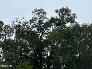 Tract 6418 Mattox Springs Rd unit 1, Caryville, FL 32427 - photo 3