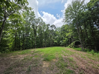 0 Baggett Hollow unit RTC3052017, Cunningham, TN 37052 - photo 3