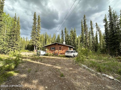 000 Sourdough Dr, Tok, AK 99780 - photo 4