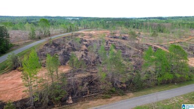0 Center Hill Rd unit 5.79 acres, Delta, AL 36258 - photo 2