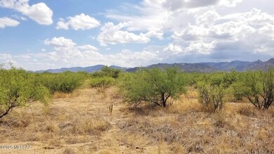 View South