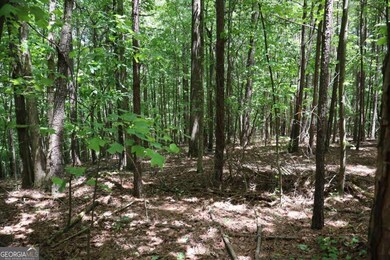 0 Parksbrook Road A unit 10302393, Ellijay, GA 30143 - photo 5