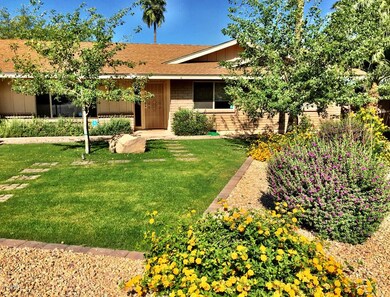 FrontYard 4-5-15