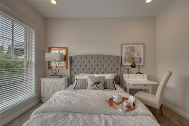 Carpeted bedroom with multiple windows