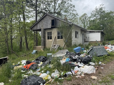 4820 Broad Run Rd, Letart, WV 25253 - photo 6