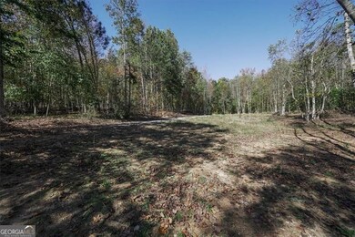 8205 Nicholson Rd unit LOT 1, Cumming, GA 30028 - photo 6