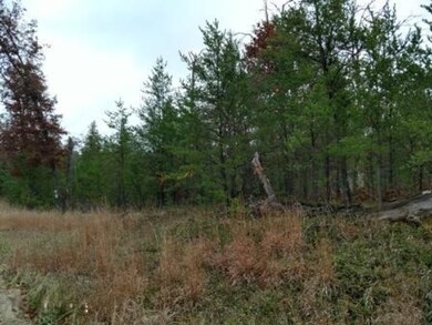 IMG_20171028_153259143_HDR
