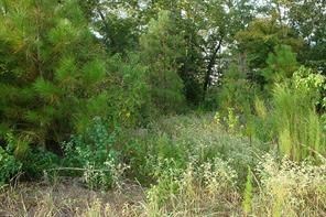 3706 Birnham Bend Cir, Spring, TX 77386 - photo 3