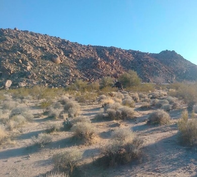 67428 Sullivan Rd, Twenty-Nine Palms, CA 92277 - photo 6