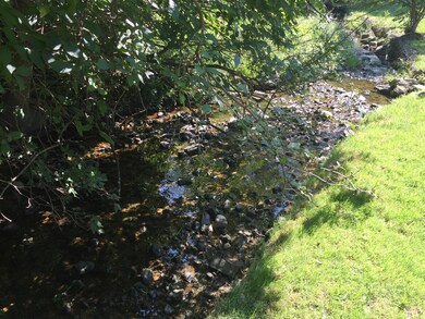 stream back yard