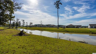 425 Sunforest Way unit Lot 36 - Macon A, Conway, SC 29526 - photo 3