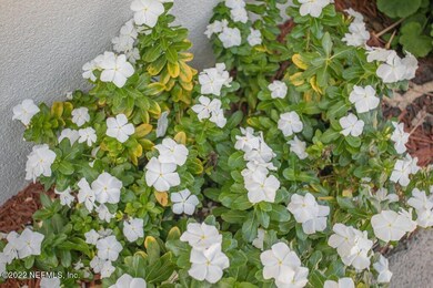 6504 Todd Rd, Jacksonville, FL 32216 - photo 6