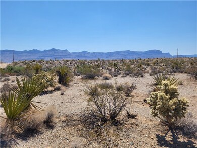 870 Calico Dr unit 4/Lot1556, Meadview, AZ 86444 - photo 4