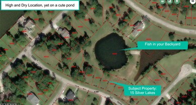 15 Silver Lakes Dr, Huntsville, TX 77340 - photo 2