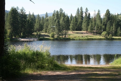 432 Quartz Rd, Newport, WA 99156 - photo 3