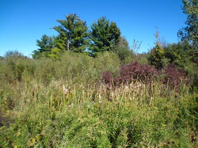 0 135th Ave, Hopkins Township, MI - photo 4