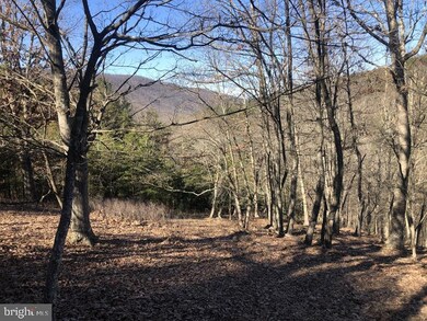 0 Ashton Woods Dr unit WVHD2000626, Moorefield, WV 26836 - photo 4