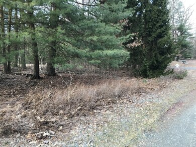 21 Coyote Ridge, Hawley, PA 18428 - photo 3