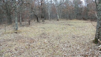 Lot 4 300th St, Sterling Township, WI 54024 - photo 5