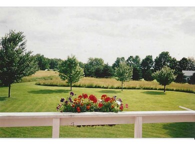 Yard/Garden. Huge level back yard...