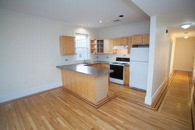 12 Magnolia Ave unit 2, Cambridge, MA 02138 - photo 5