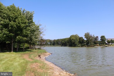 313 S Lake Dr, Stevensville, MD 21666 - photo 5