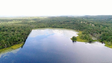 122 Jaketown Rd, Swan Lake, NY 12783 - photo 7