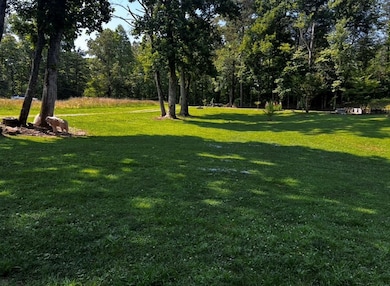 362 Old Dial Rd, Morganton, GA 30560 - photo 3