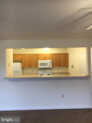 304 Baughmans Ln unit D, Frederick, MD 21702 - photo 6