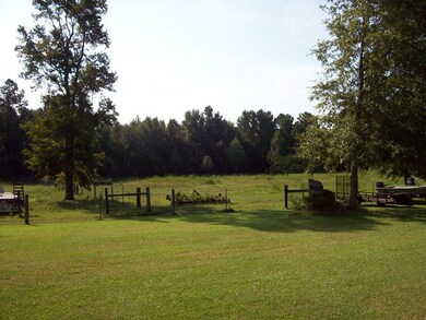 Back Yard View
