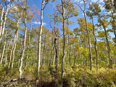 2478 W Mars Way, Midway, UT 84049 - photo 6