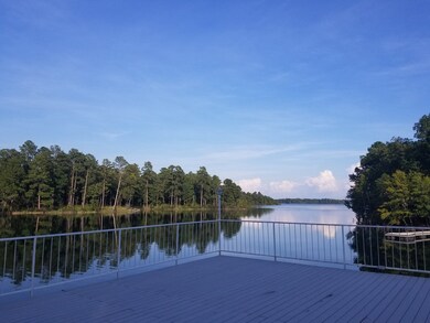 1037 Fleming Lake Ct, Lincolnton, GA 30817 - photo 5