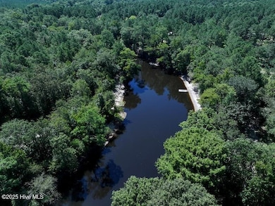 1601 Black River Ln, Harrells, NC 28444 - photo 7