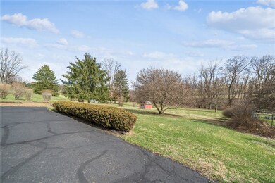 2ND LOOK AT THE YARD