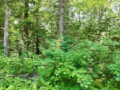 Lot 6 Mattamiscontis Rd, Mattamiscontis Township, ME 04457 - photo 7